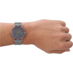 Skagen SIGNATUR SKW6900 grau