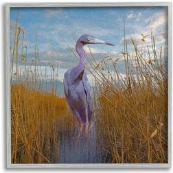 Stupell Industries Egret Beach Reeds Coastal Grasses Grey Framed Art 12x12"