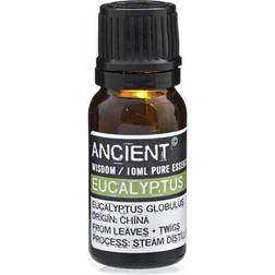 Ancient Wisdom Eukalyptus Æterisk Olie 10ml
