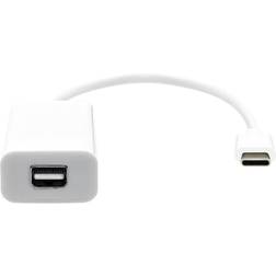 ProXtend USB C - Mini DisplayPort M -F 0.2m