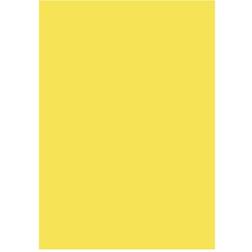 BNTOFFICE Papir A4 80 Gram 50 Ark