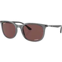 Ray-Ban Polarized RB4386 6650AF