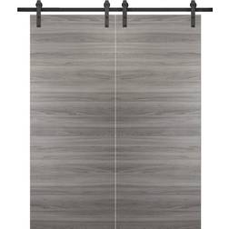 Sarto Sturdy Double Barn Interior Door Clear Glass S 6502-B (x)