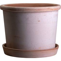 Bergs Potter Galestro with Saucer Krukke