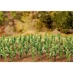 Faller Corn Plants