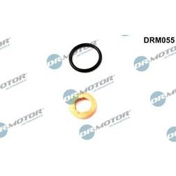 DR.MOTOR AUTOMOTIVE Dichtungssatz, Einspritzdüse AUDI DRM055 057130219A,057130219A,WHT001689