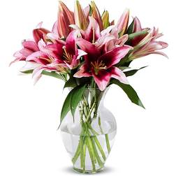 BENCHMARK BOUQUETS Lilies Bouquet