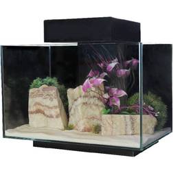 AquaOne Platform 21 21L Fish Tank