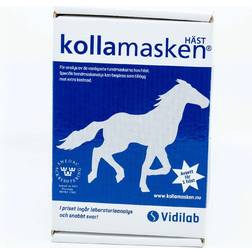 Vidilab Kollamasken Horse