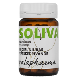 Valapharma Solival 90 st