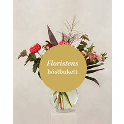 Interflora The Florist's Autumn