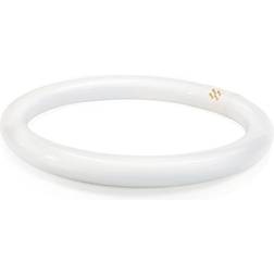 Philips 391177 Circline Fluorescent Lamps 32W G10q