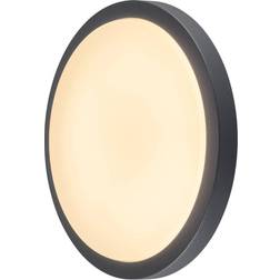 SLV Ainos Black Loftplafond ∅ 30cm