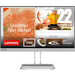 Lenovo L22i-40