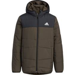 Adidas Padded Winter Jacket - Shadow Olive (HM5207)