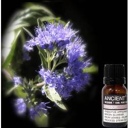 Ancient Wisdom Essentiel Olie Hyssop 10 ml