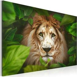 Artgeist Tableau Eyes Of The Jungle-Taille L 60 x H 40 cm Art encadré