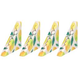 Antibit Fly Trap 4-pack