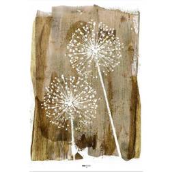 Malerifabrikken White Dandelion Beige Plakat