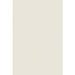 D-C-Fix Uni 45x200cm Dekorplast