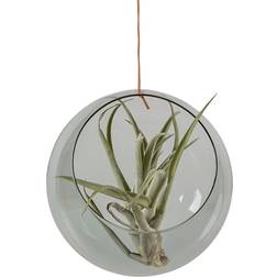 Studio About Hanging Plant Bubble Large Smoke Vase