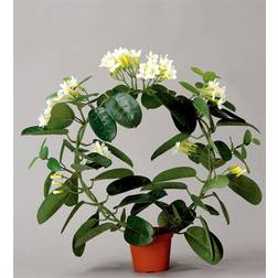 Silk Plants White/Green Kunstig plante