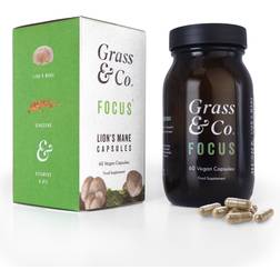 & FOCUS Lion's Mane Mushrooms with Ginseng + Omega-3 60 pcs