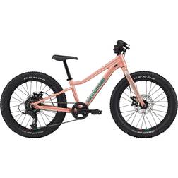 Cannondale Trail Plus 20 Mountain Kids Bike