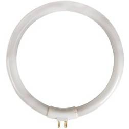 Velleman T4 cirkulær Lysstofrør 12W/6500 kelvin, Ø135mm til luplampe