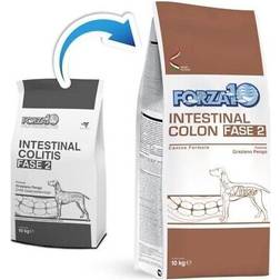 Forza10 Intestinal Colon Fase 2 - 10 kg