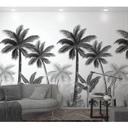 Marburg Palm Trees Plants (47204)