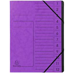 Exacompta 541208E Premium Ordnungsmappe Aus extra Colorspan-Karton A4