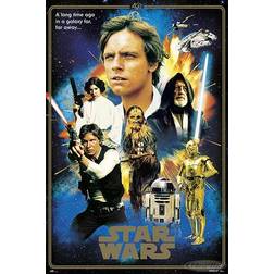 Star Wars Hereos 40th Anniversary Poster 61x91.5cm