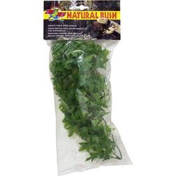 Zoo Med Congo Ivy Reptile Plant