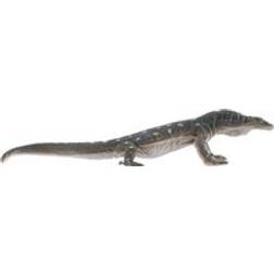 Mojo Perentie