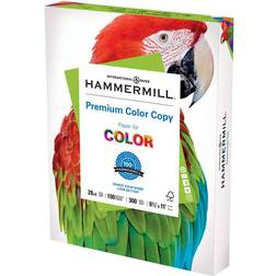 Hammermill Hammermill Paper, Premium Color 28 lb Copy 102700R