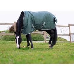 EquiThème Outdoor Horse Blanket Tyrex 600 D 0g - Vert