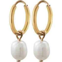 Edblad Perla Hoops - Gold/Pearls