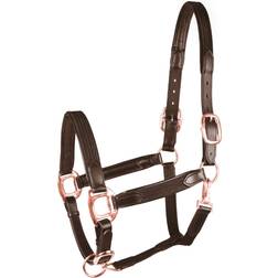 Waldhausen Horse Halter Star Mix - Marron