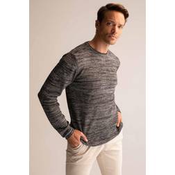 DeFacto DeFacto Pullover Schwarz Regular Fit für Herren