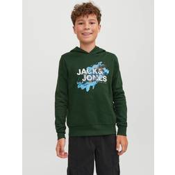 Jack & Jones Hættetrøje JjNelson Sweat Hood Grøn