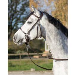 QHP Bitless bridle Ceto