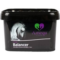 Amequ Balancer 1,5 kg