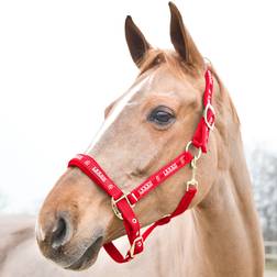 Horze Hamptons Halfter - Red