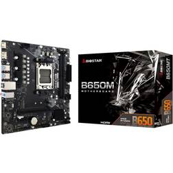 Biostar B650MT
