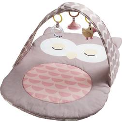 Hape Babygym Uil Oscar