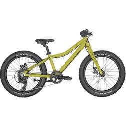 Scott Roxter 20 Green Kids Bike Kids Bike