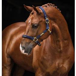 Hansbo Sport Grime Equestrian