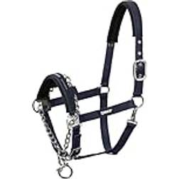 Eskadron Grimma Control PIN Buckle Nightblue Basics 2023, häst: P2