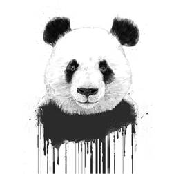 Pelcasa Graffiti Panda Plakat 21x30cm